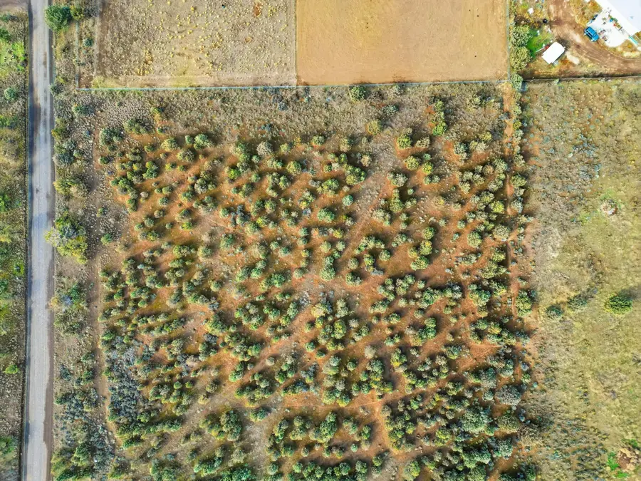 14240 SE Winchester Loop, Prineville, OR 97754 - #3