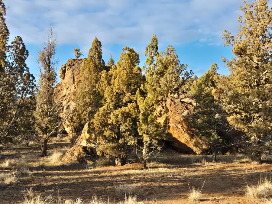 9697 SE Pavati Drive #Lot 27, Prineville, OR 97754 - #3