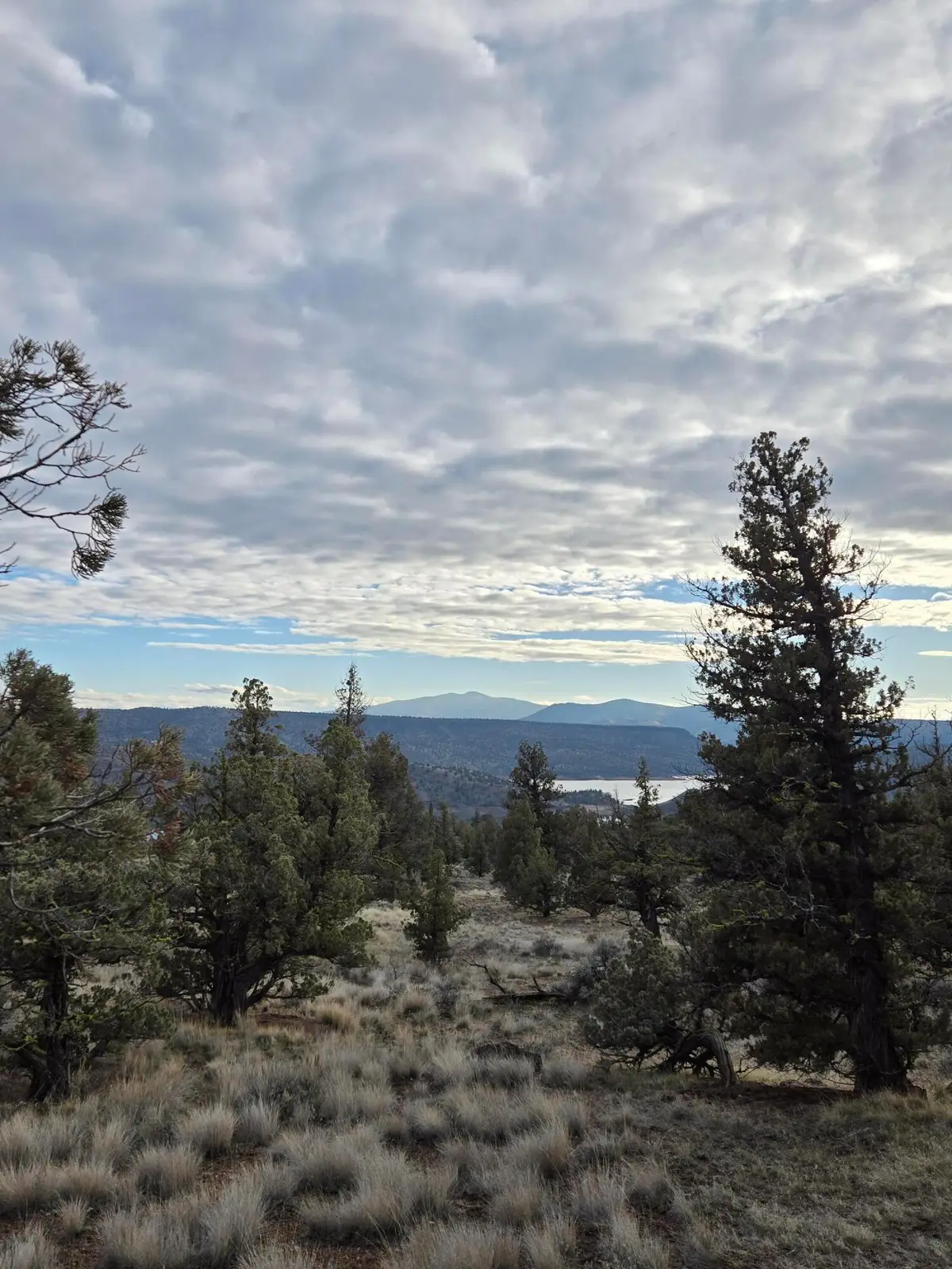 10098 SE Pavati Drive #Lot 36, Prineville, OR 97754 - #1