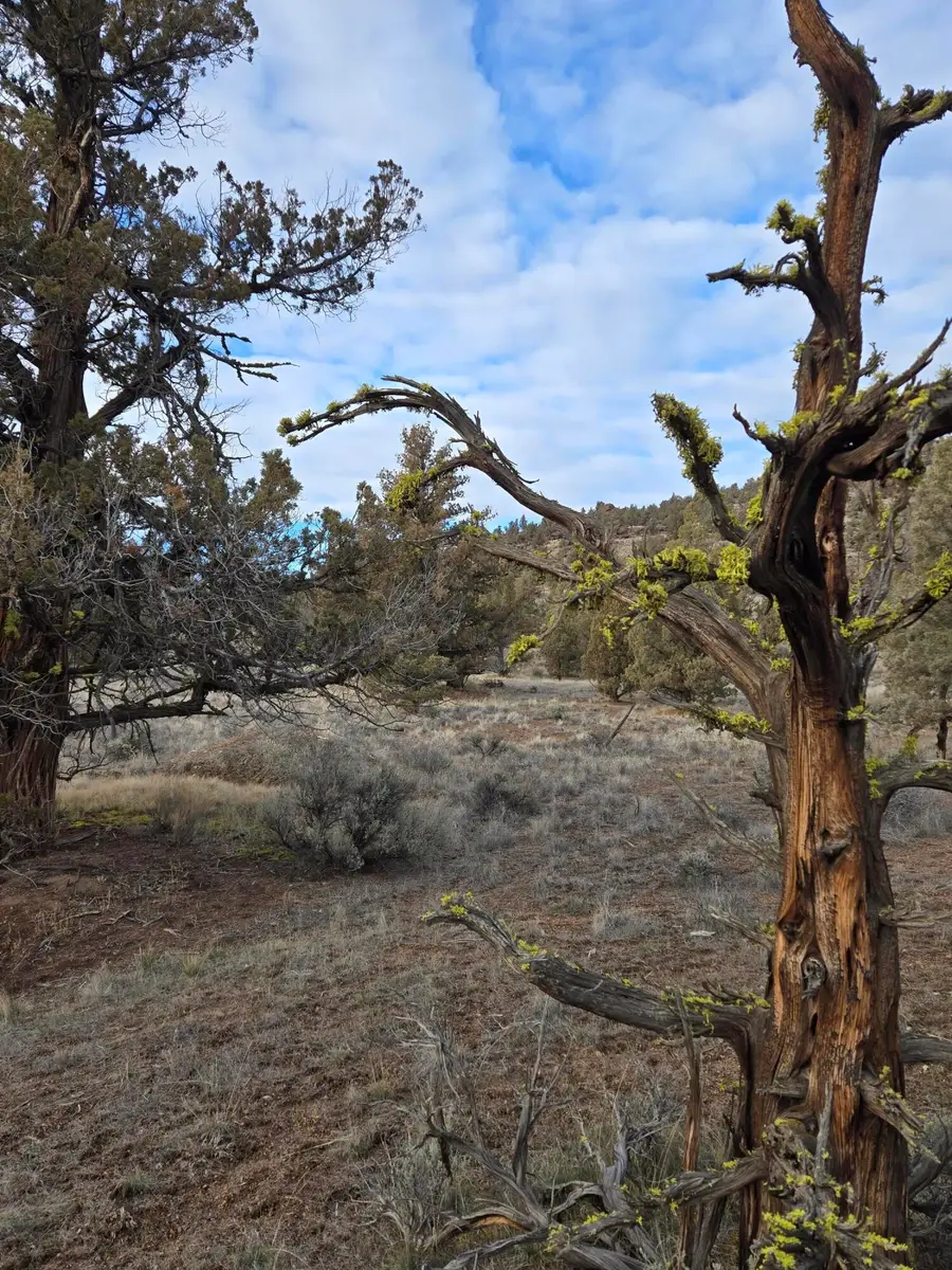 10098 SE Pavati Drive #Lot 36, Prineville, OR 97754 - #2