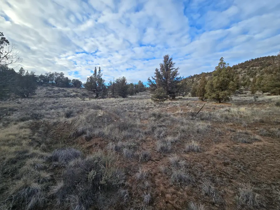 10068 SE Pavati Drive #Lot 37, Prineville, OR 97754 - #2