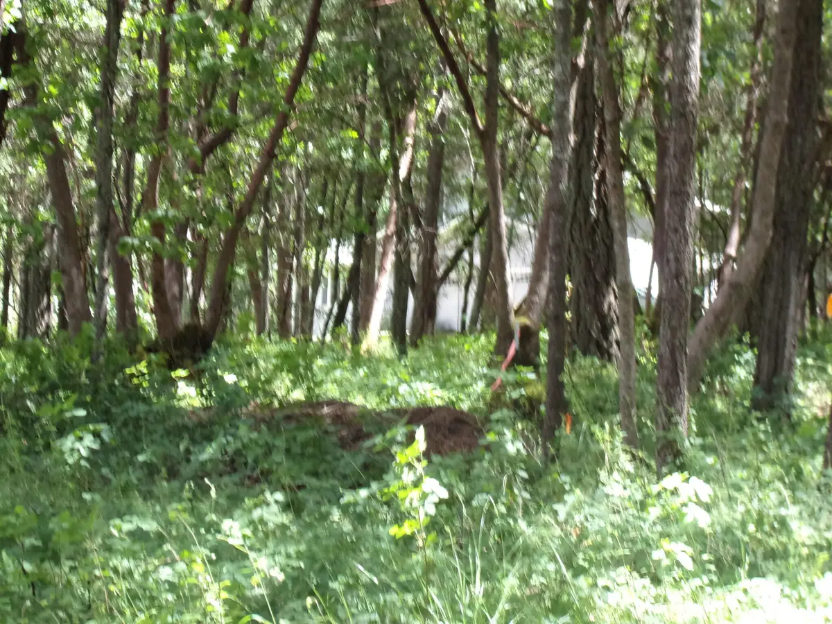 2409 Smokey Lane, Grants Pass, OR 97527 - #1