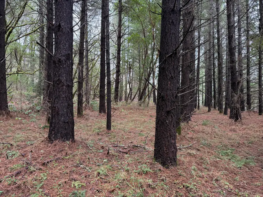 907 Riverbanks Road #907, Grants Pass, OR 97527 - #2