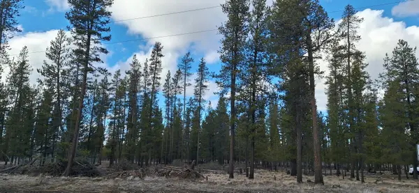 Sun Forest Drive #1200, La Pine, OR 97739