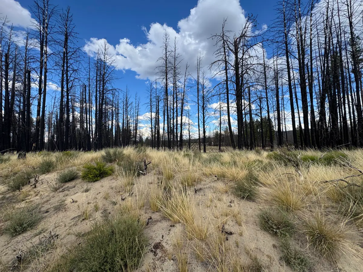 0 Shasta Fir Lane #9, Beatty, OR 97621 - #1