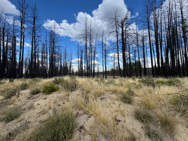 0 Shasta Fir Lane #9, Beatty, OR 97621