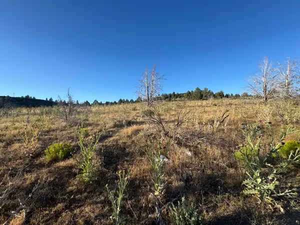 0 Curry Street #112, Sprague River, OR 97639