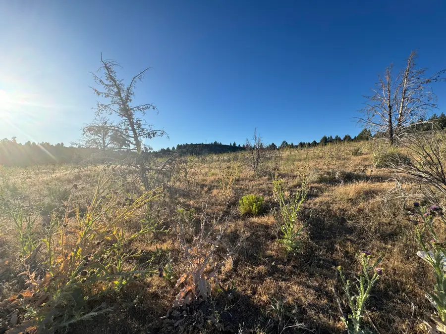 0 Curry Street #112, Sprague River, OR 97639 - #3