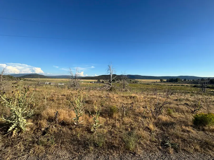 0 Curry Street #129, Sprague River, OR 97639 - #3