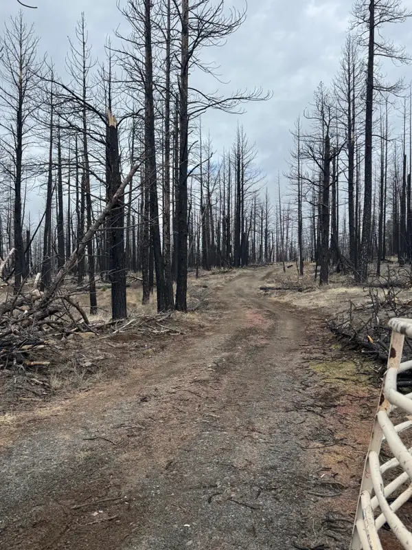 1100 Yellow Pine Road, Bly, OR 97622