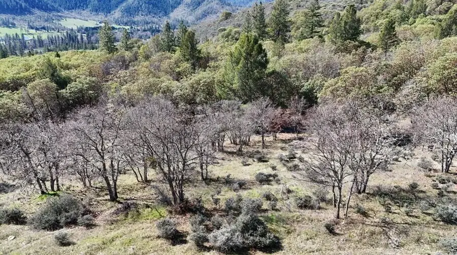 N Applegate Road, Grants Pass, OR 97527 - #3