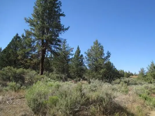 0 Little Fawn Drive #10, Chiloquin, OR 97624 - #2