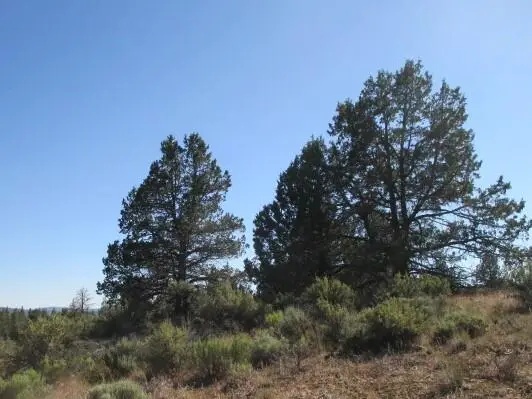 0 Little Fawn Drive #10, Chiloquin, OR 97624 - #3