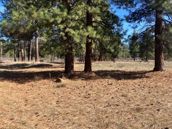 0 Winema Peninsula, Chiloquin, OR 97624