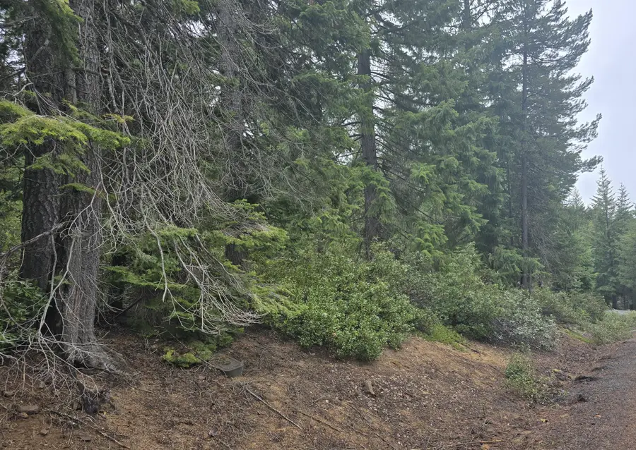 4 Royce Pine Road, Crescent Lake, OR 97733 - #2