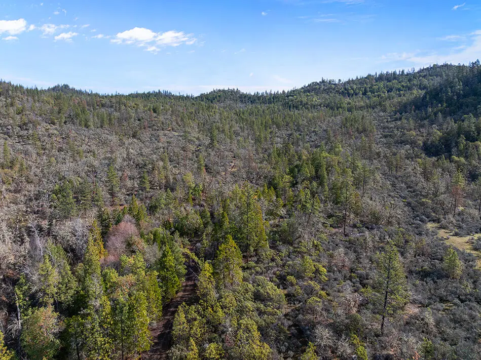 Indian Creek Road, Shady Cove, OR 97539 - #1