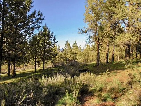 0 Pearson Butte Trail #16, Keno, OR 97627