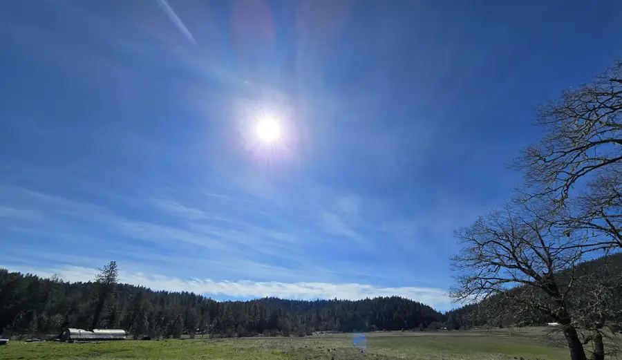 147 Warren Road, Selma, OR 97538 - #3