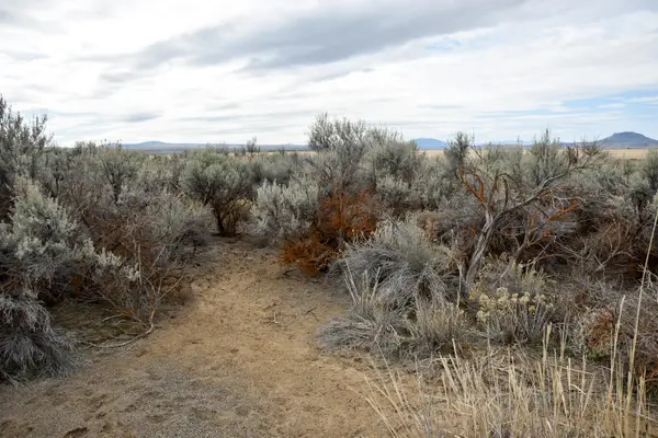 Willa Road #3, Christmas Valley, OR 97641