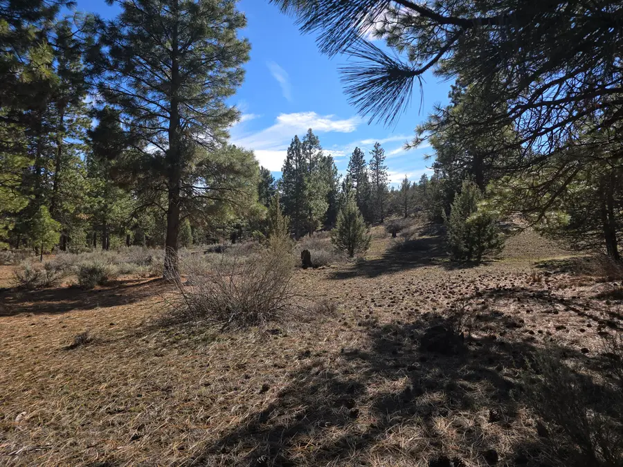 Wilderness Way #29, Klamath Falls, OR 97601 - #2