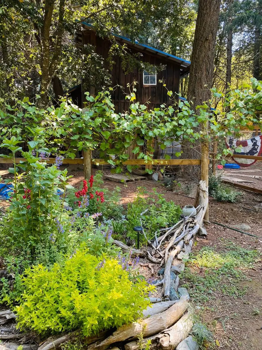 1259 Waldo Road, Obrien, OR 97534 - #2