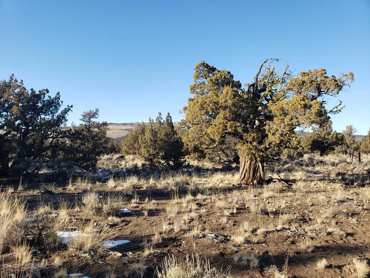 1400 Golden View Ranch, Bend, OR 97701 - #1