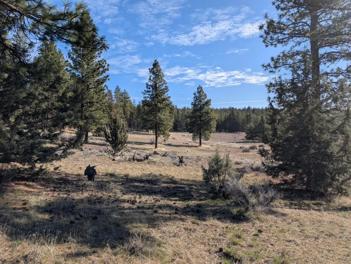 28660 Yonna Wood Road, Bonanza, OR 97623 - #1