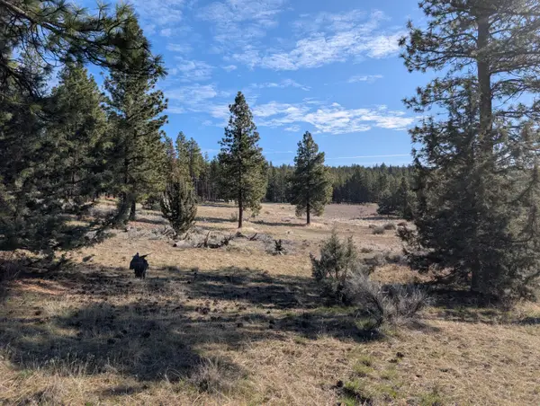 28660 Yonna Wood Road, Bonanza, OR 97623