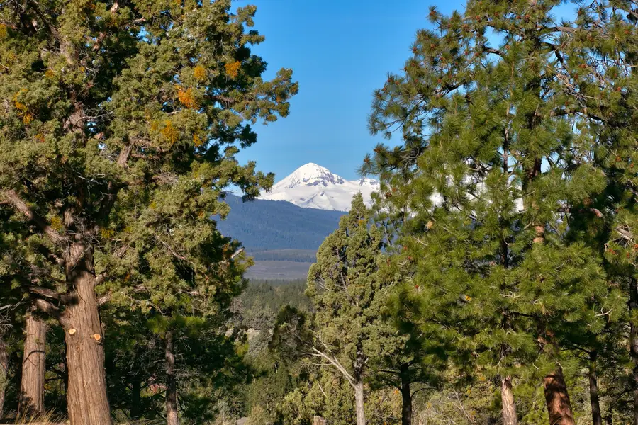 3380 NW Greenleaf Way, Bend, OR 97703 - #3