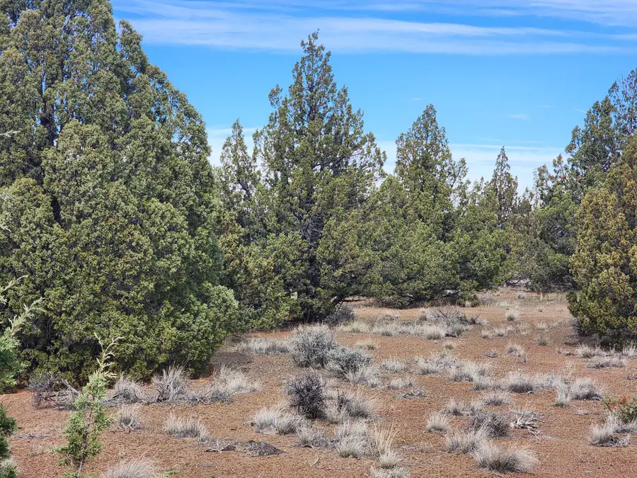 0 Maple Lane #189, Prineville, OR 97754 - #2