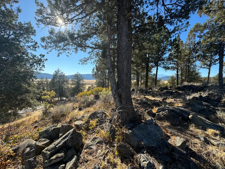 0 Fox Sparrow Drive #1126, Klamath Falls, OR 97601 - #2