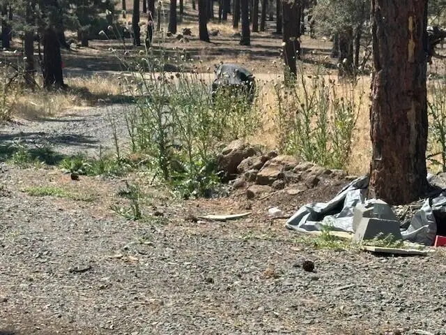 11443 Fisher Street, Bonanza, OR 97623 - #3