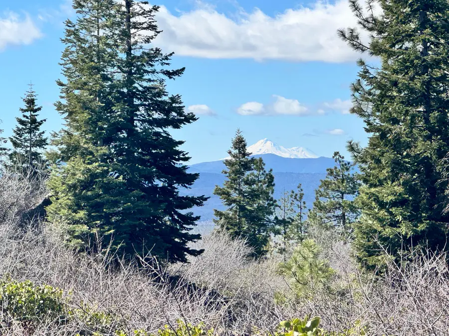 14332 Loma Bonita Court, Bonanza, OR 97623 - #3