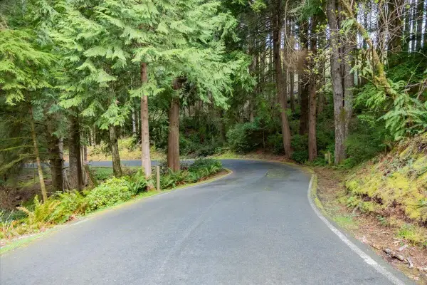 Fairway Drive, Gleneden Beach, OR 97388