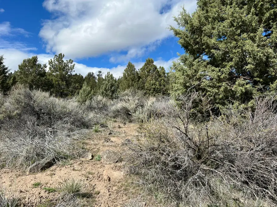 Shasta St Street #Lot 4, Sprague River, OR 97639 - #2