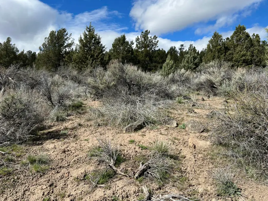Shasta St Street #Lot 4, Sprague River, OR 97639 - #3