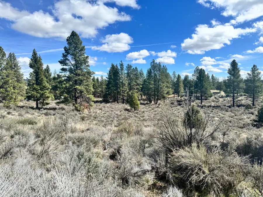 0 Moccasin Lane #1, Chiloquin, OR 97624 - #2