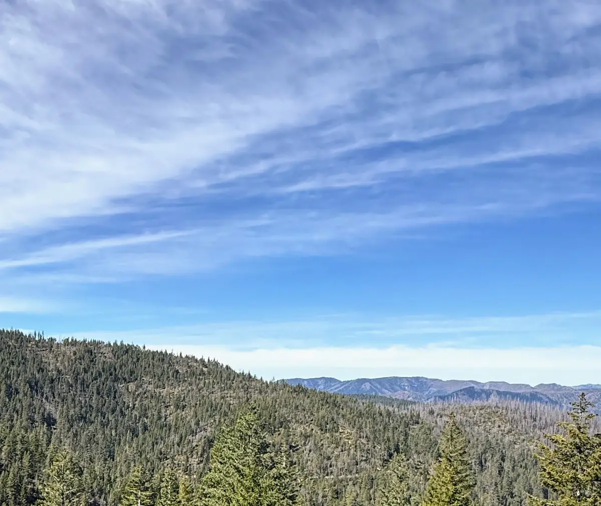 2 Onion Mountain, Selma, OR 97538 - #1