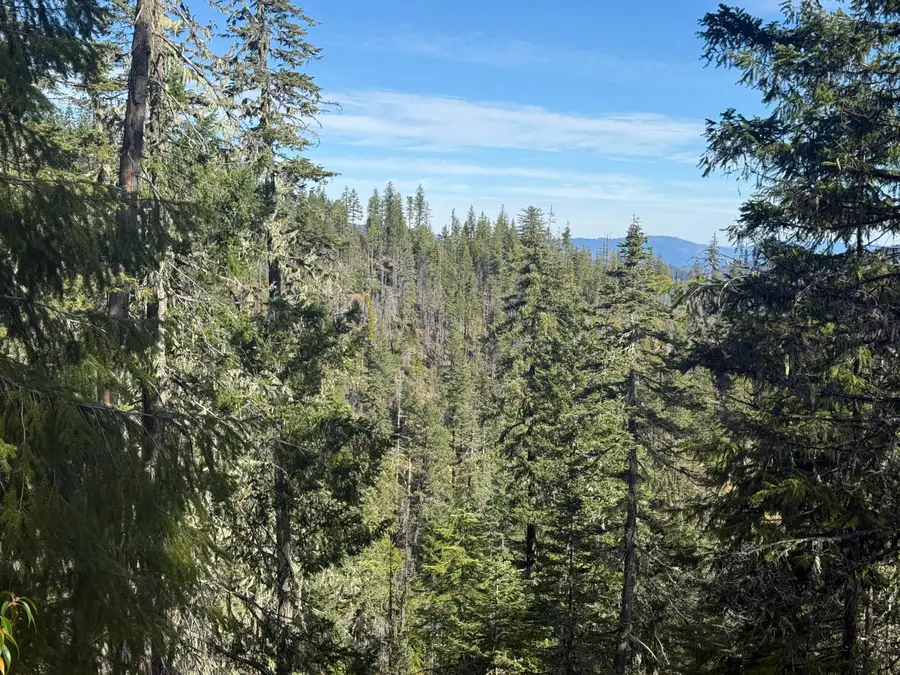 2 Onion Mountain, Selma, OR 97538 - #3