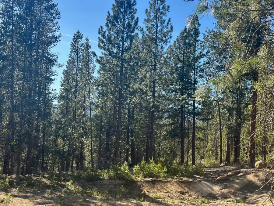 201 Hwy 58, Crescent Lake, OR 97733 - #2