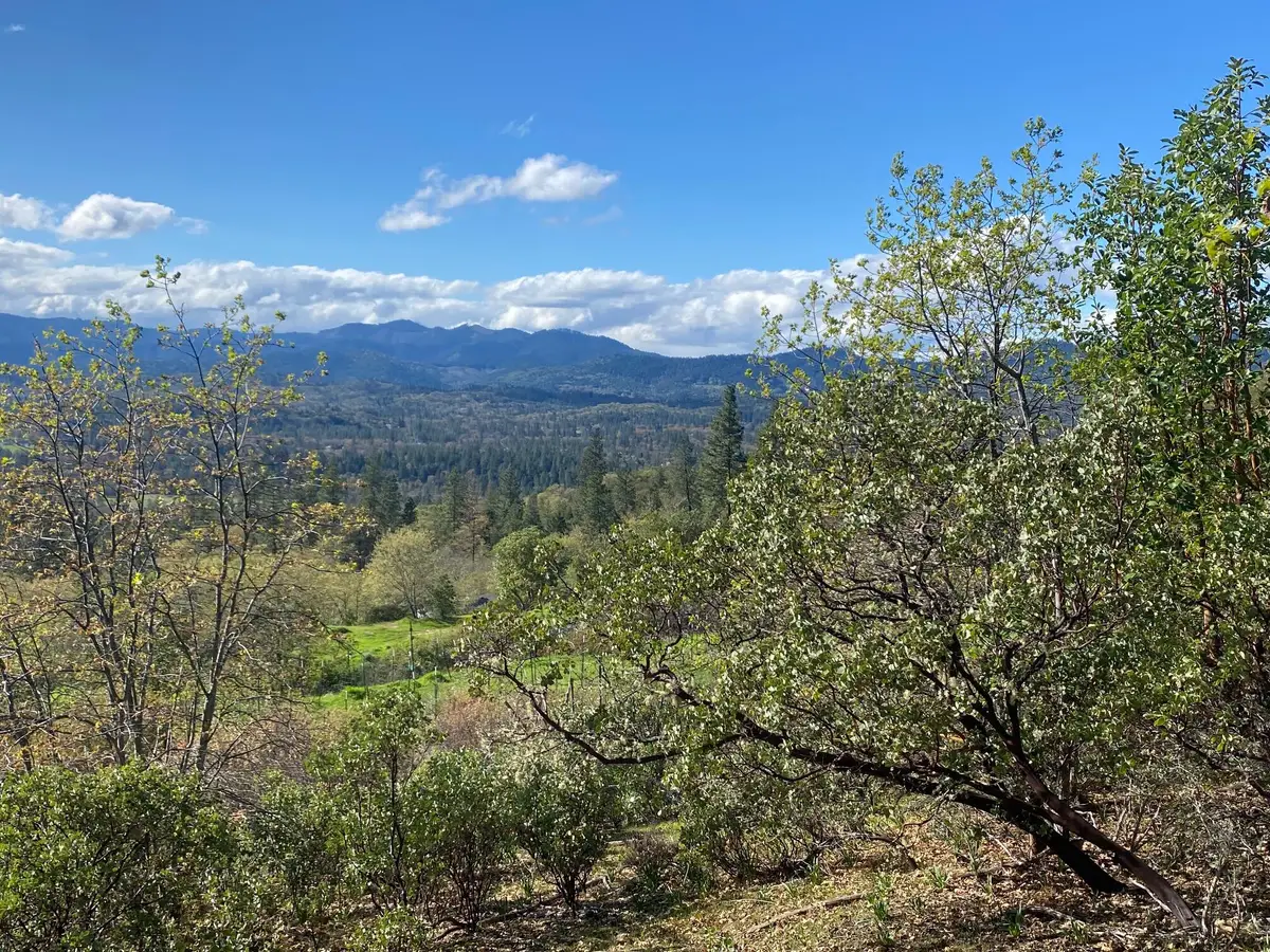 928 N Schoolhouse Creek Road, Grants Pass, OR 97526 - #1