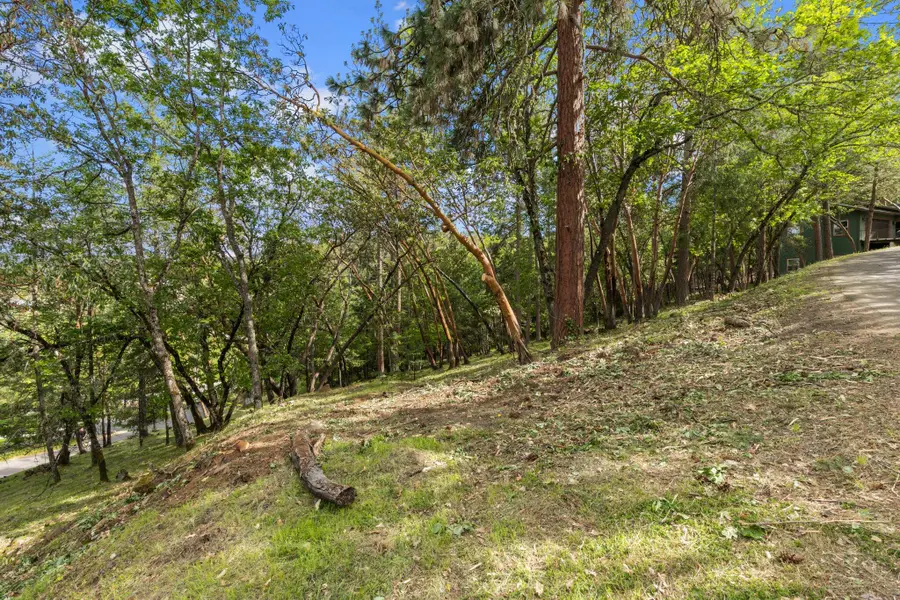 425 Coachman Drive, Jacksonville, OR 97530 - #3