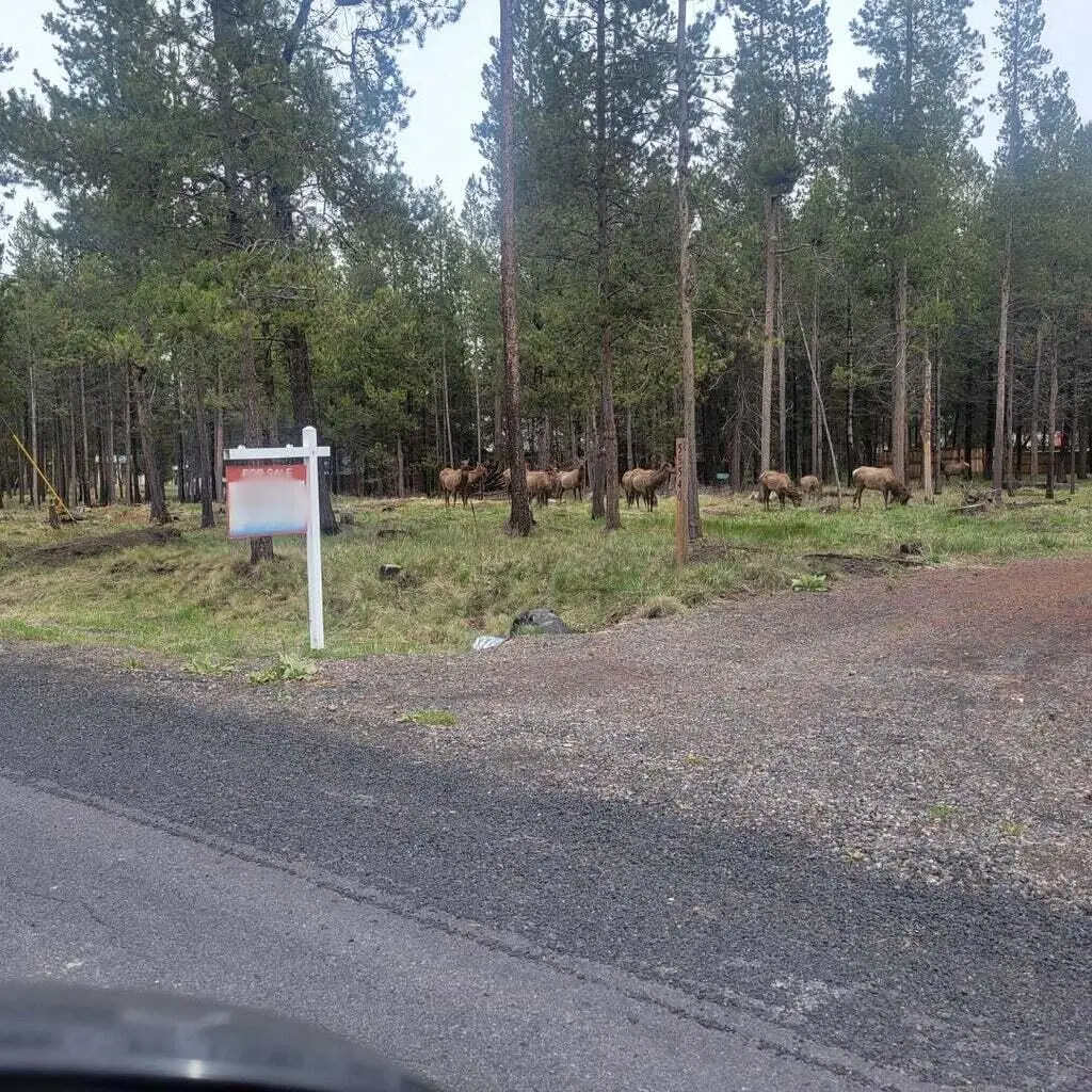 55540 Big River Drive, Bend, OR 97707 - #1