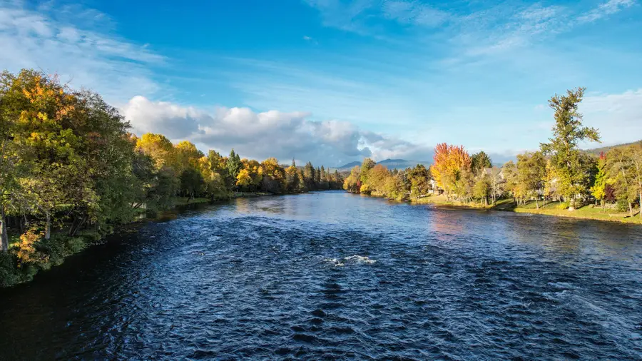 343 Rene Drive, Shady Cove, OR 97539 - #2