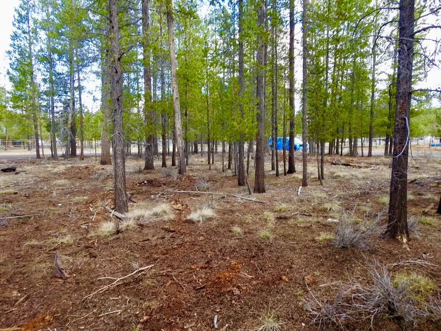 Tl 10100 Beechwood Drive #1, La Pine, OR 97739 - #3