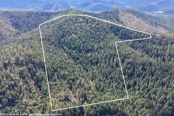 2787 Davis Creek Road, Selma, OR 97538