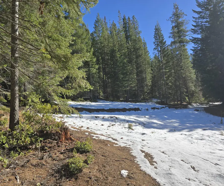 6 Royce Pine Road, Crescent Lake, OR 97733 - #2