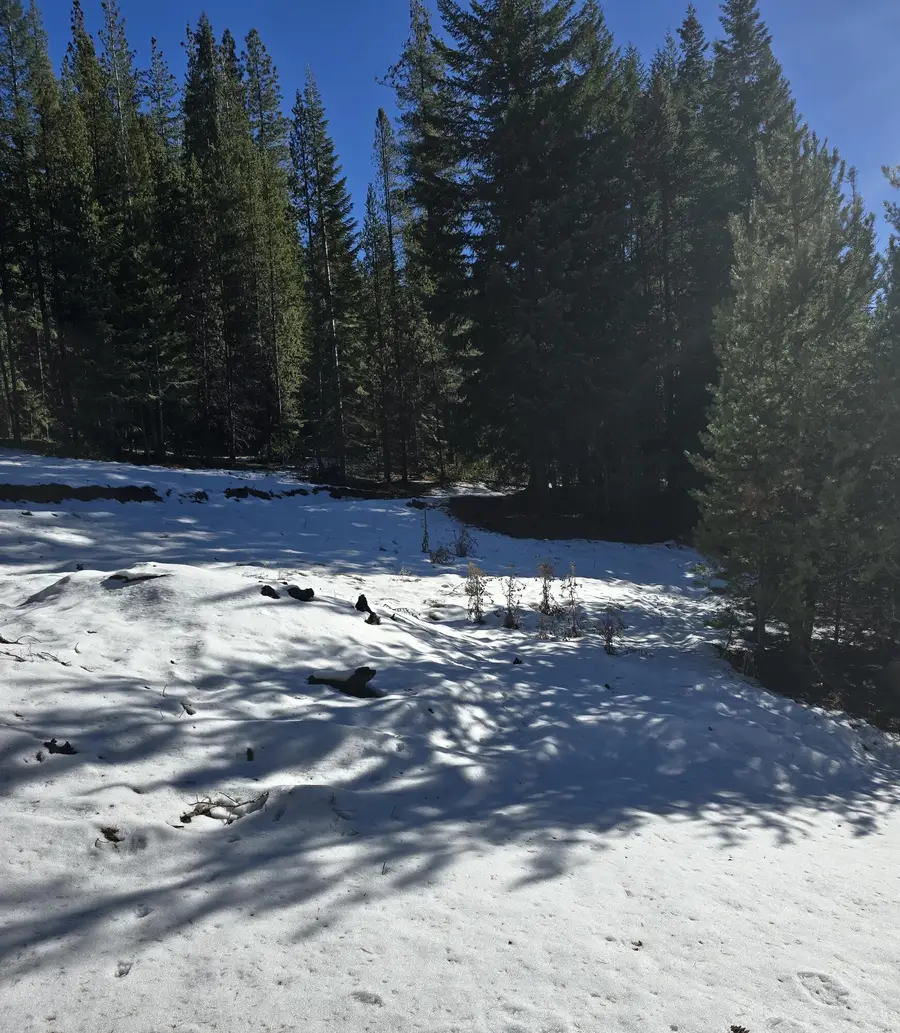 6 Royce Pine Road, Crescent Lake, OR 97733 - #3