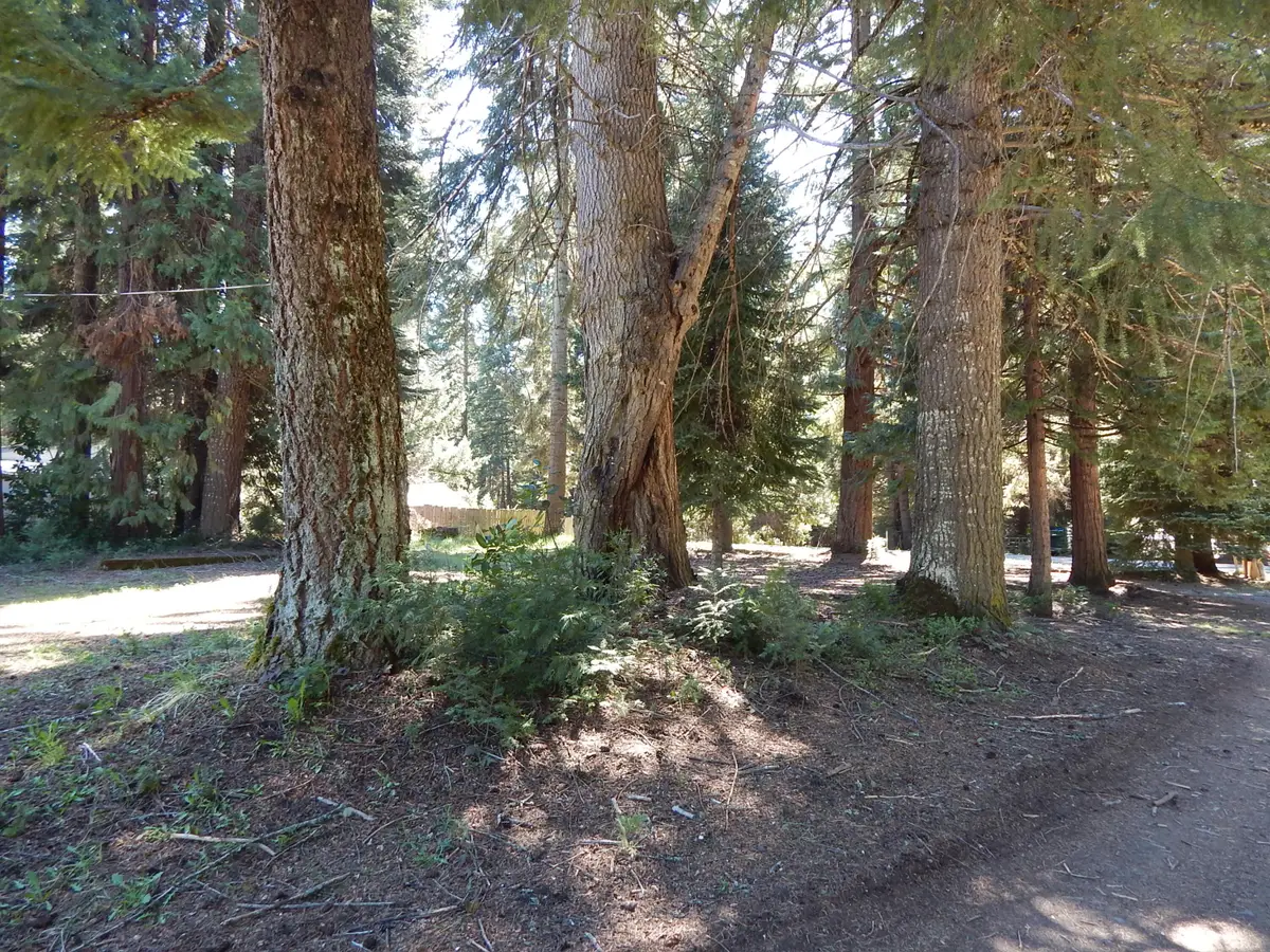 356 M Lane, Prospect, OR 97536 - #1