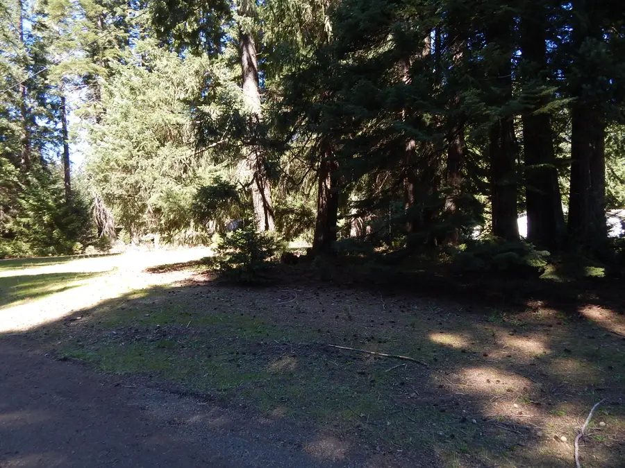 Red Blanket Road, Prospect, OR 97536 - #3